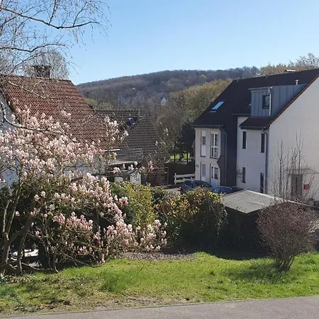 Modernes Einfamilienhaus Mit Garten, 4,5-zimmern In Vollausstattung Zur Alleinnutzung In Ruhiger Lage, Grill, Sauna, 3 Schlafzimmern, 4 Betten, Kamin Und 2 Baedern ホテル